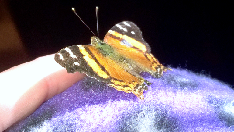 wp_20140720_13_12_35_pro