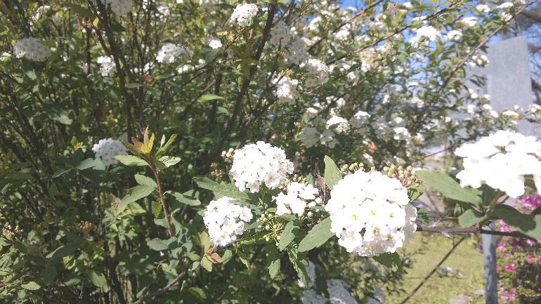 wp_20140829_11_32_59_pro