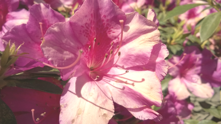 wp_20140829_11_33_14_pro