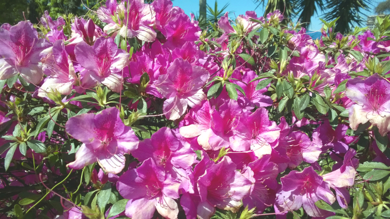 wp_20140829_11_33_21_pro