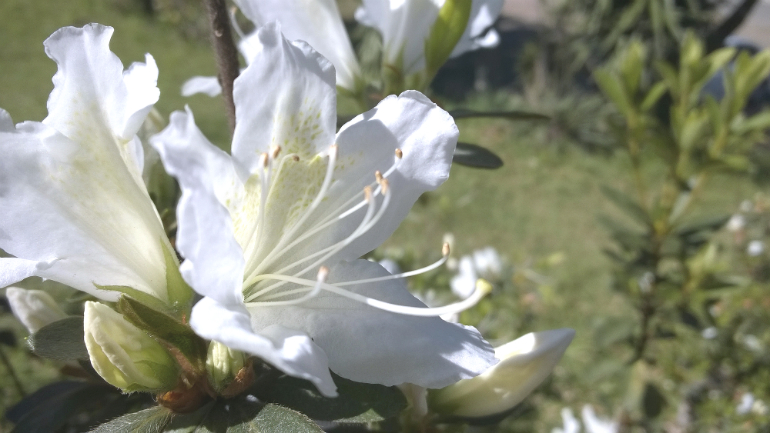 wp_20140829_11_33_32_pro