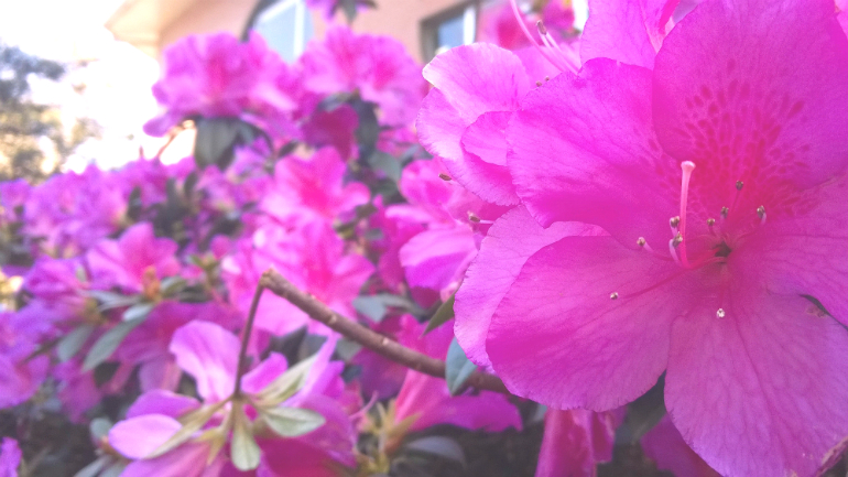 wp_20140829_11_39_59_pro