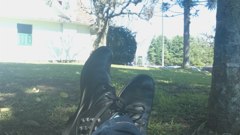 wp_20140829_12_16_19_pro