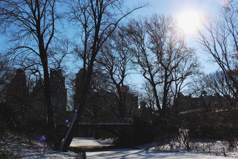 Processed with VSCO with 4 preset