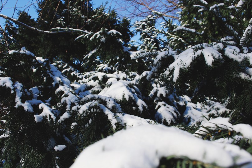 Processed with VSCO with 4 preset